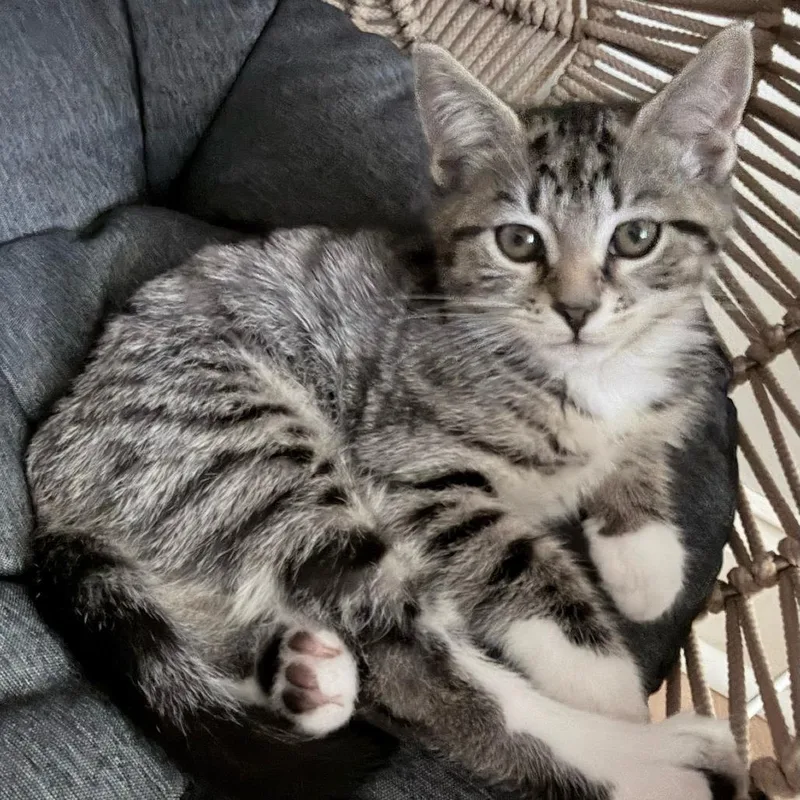 Sojourner thumbnail 3