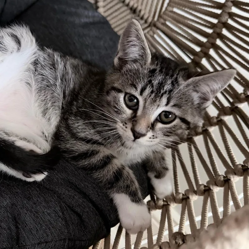 Sojourner thumbnail 5