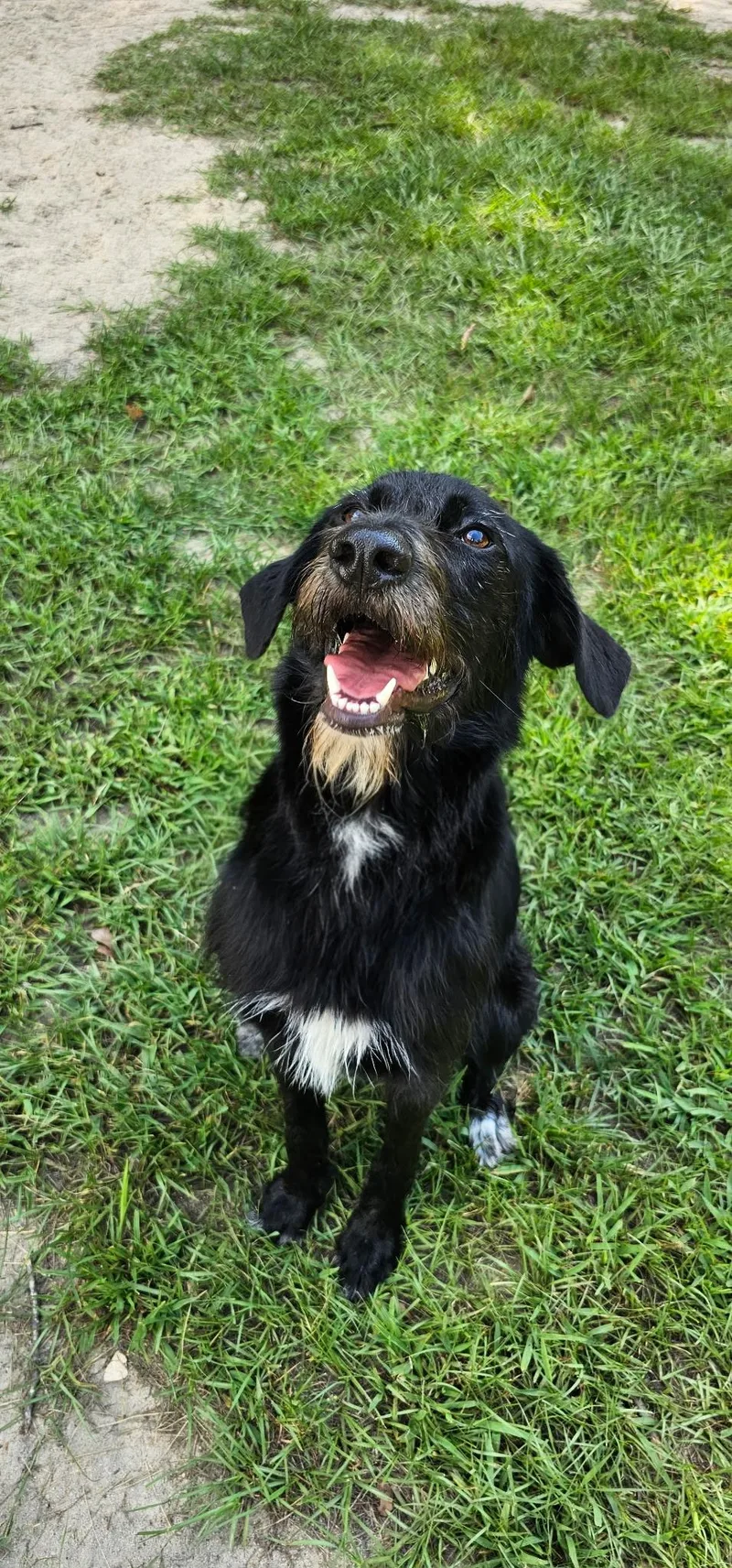 Matilda