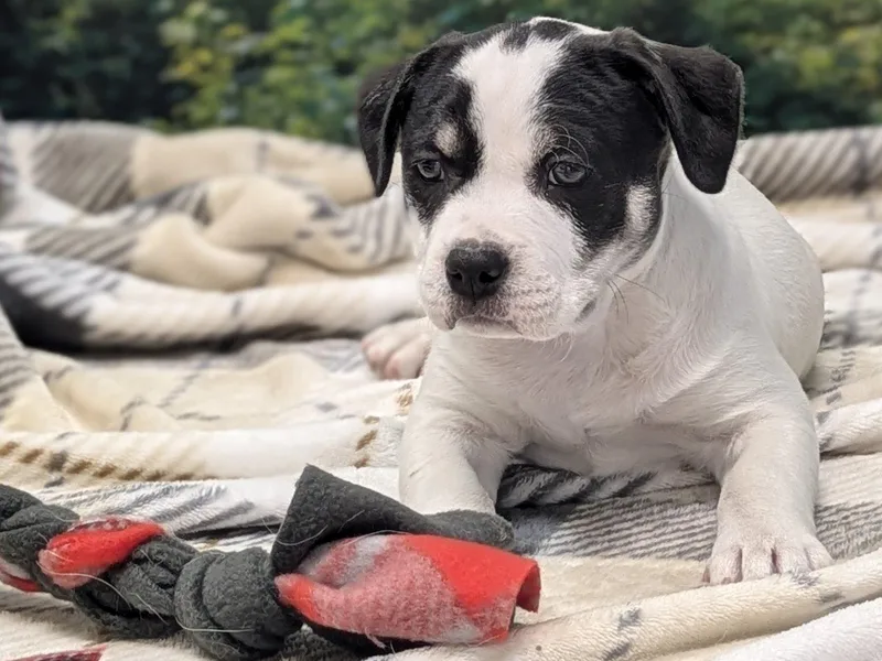 Lucrezia thumbnail 2