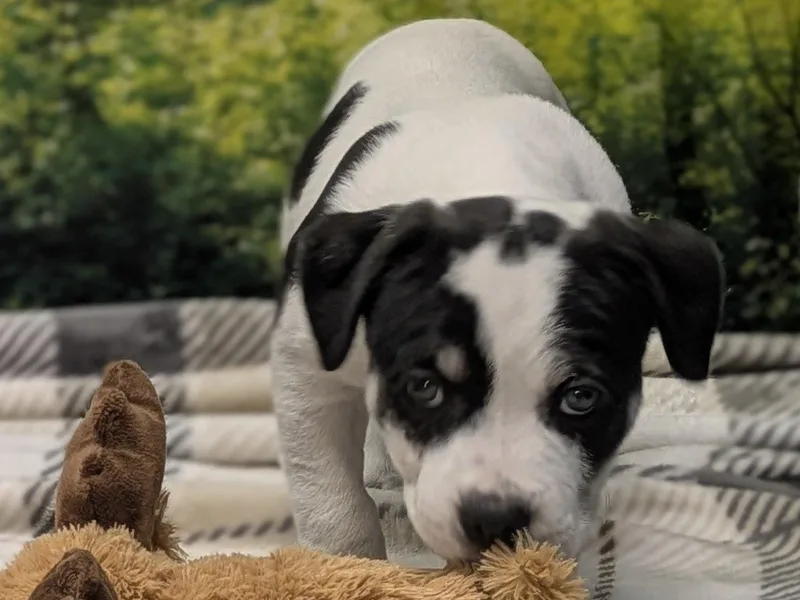 Lucrezia thumbnail 4