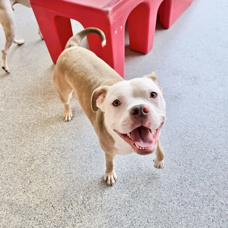 Billy Bob thumbnail 5