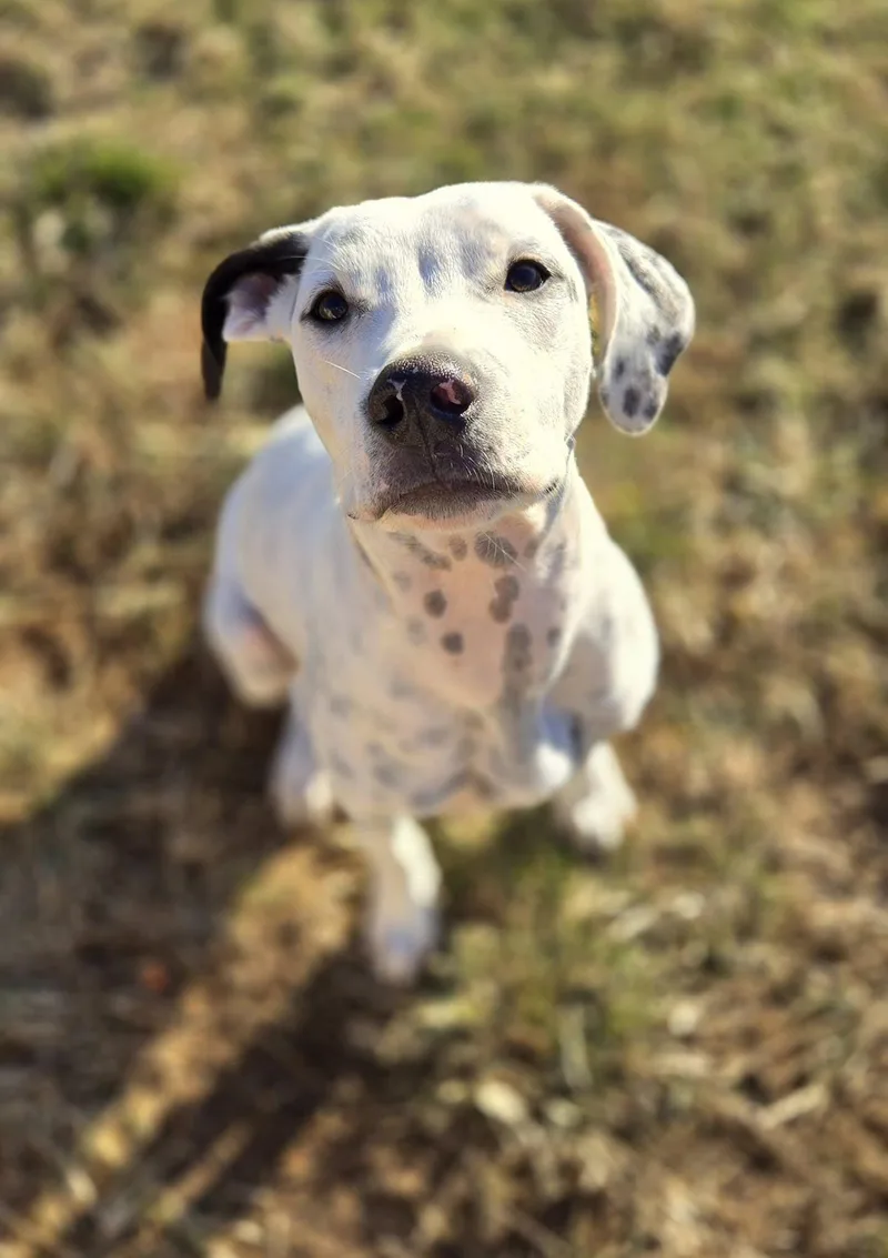 Bruce Wayne thumbnail 2