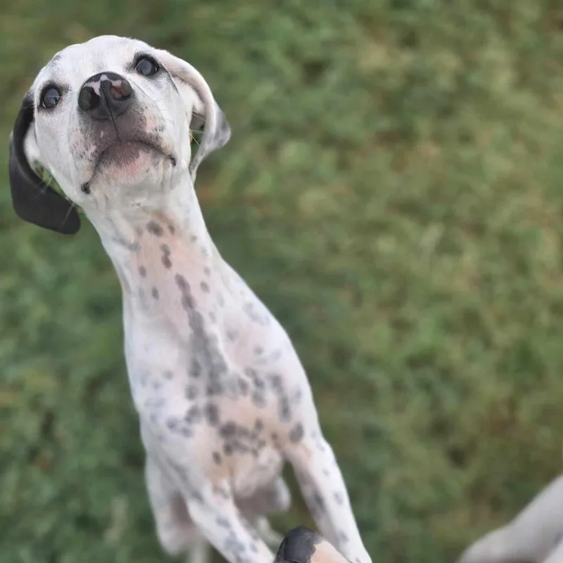 Bruce Wayne thumbnail 3