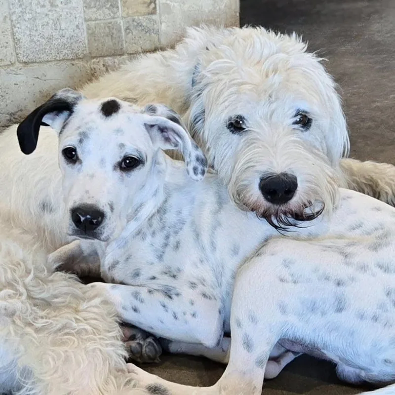 Bruce Wayne thumbnail 4