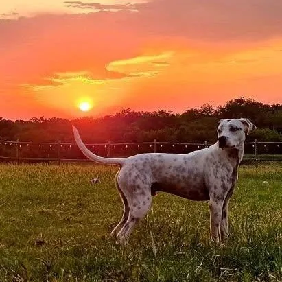 Bruce Wayne thumbnail 5