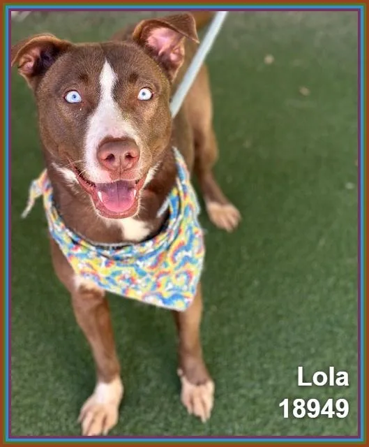 Lola