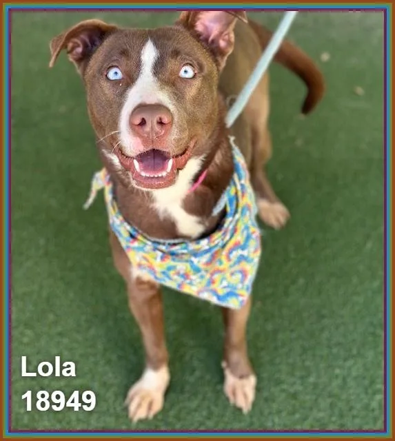 Lola thumbnail 2