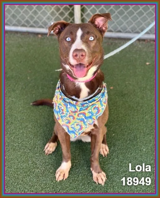 Lola thumbnail 3