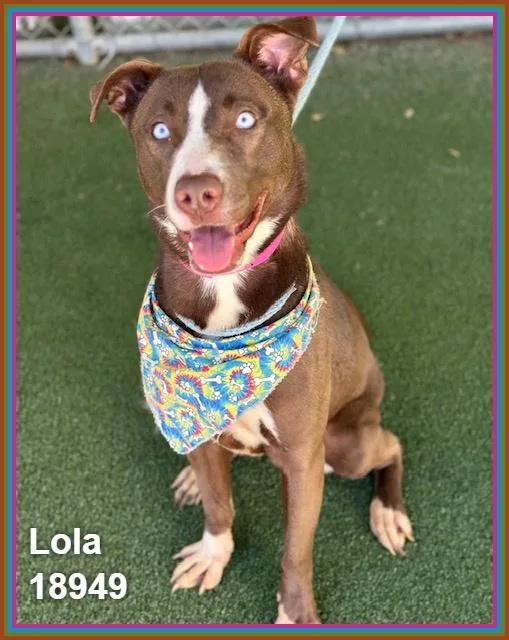 Lola thumbnail 4
