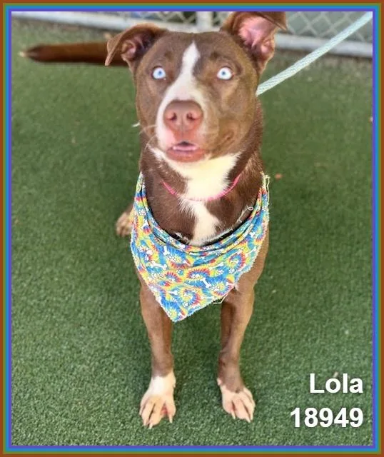 Lola thumbnail 5