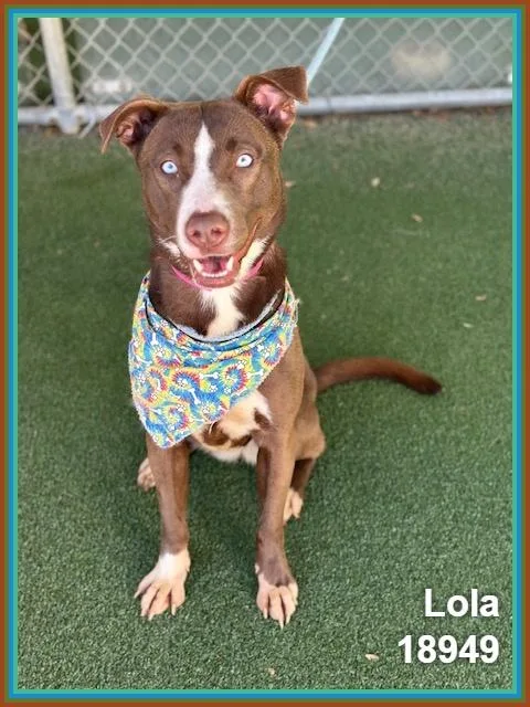 Lola thumbnail 6