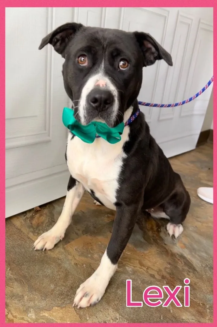 Lexi thumbnail 5