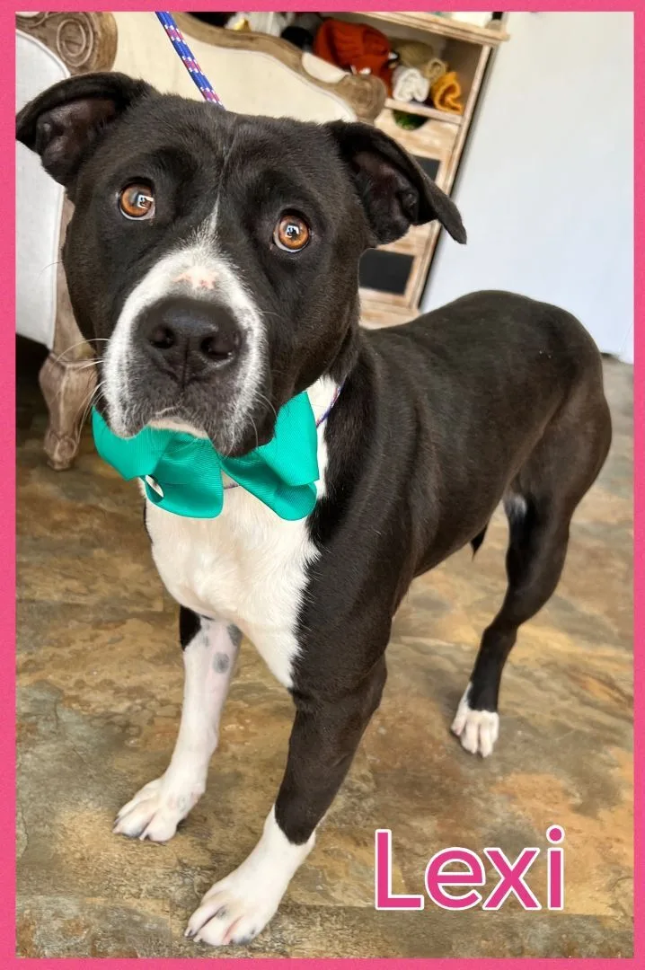 Lexi thumbnail 6