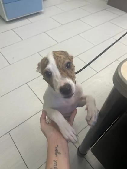 Chloe