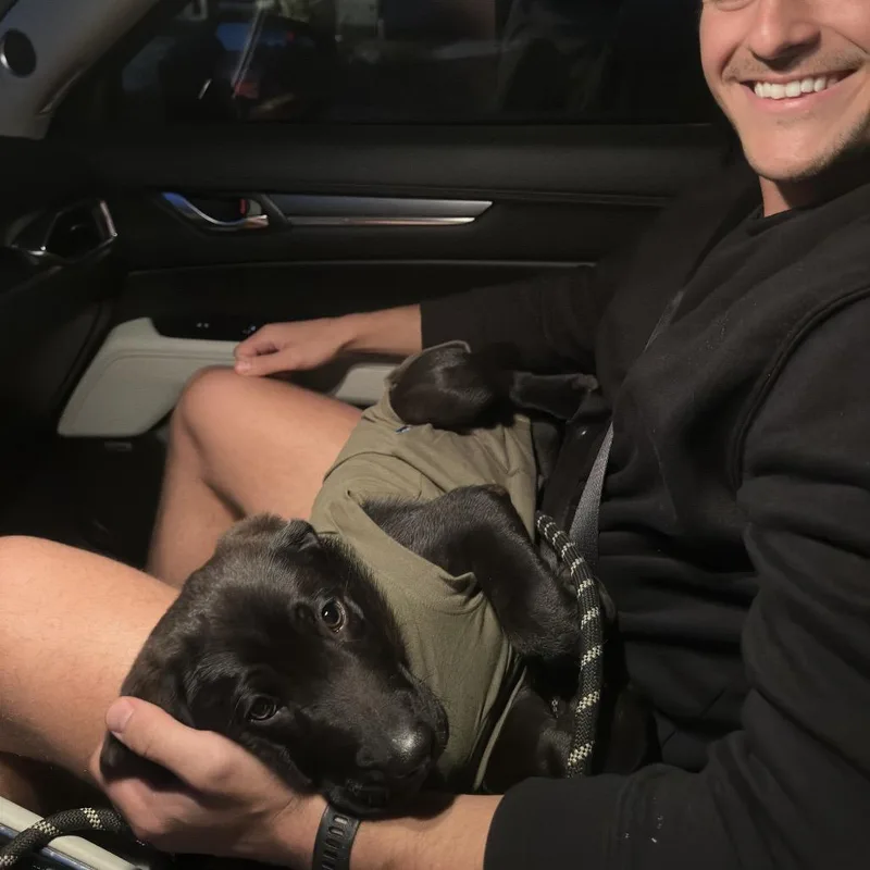 Maverick thumbnail 3