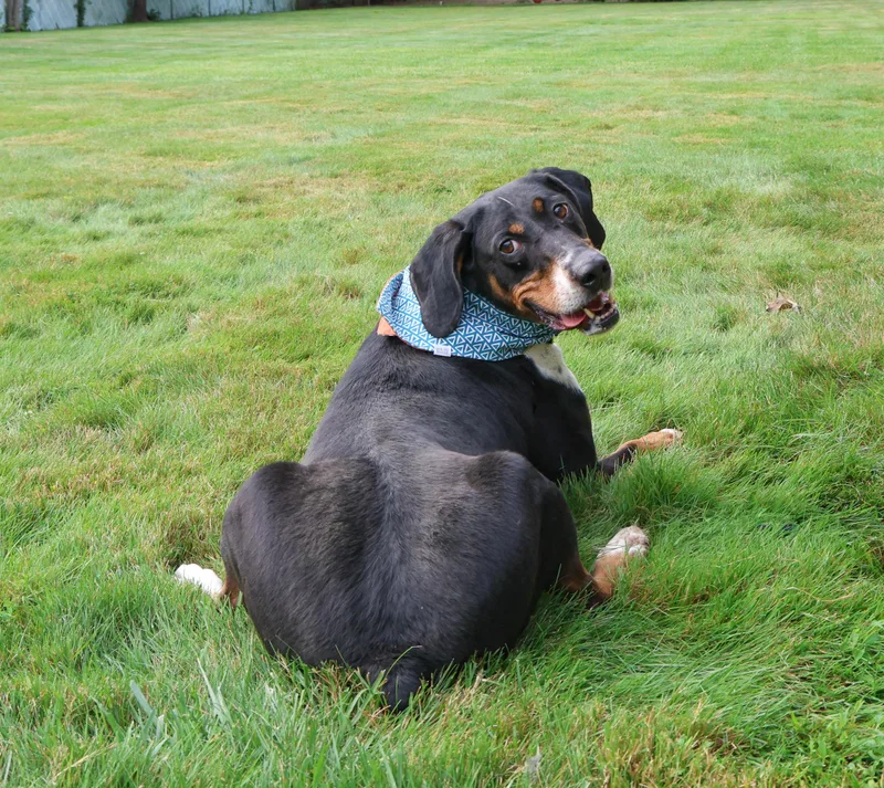 Denver  Long Island thumbnail 2