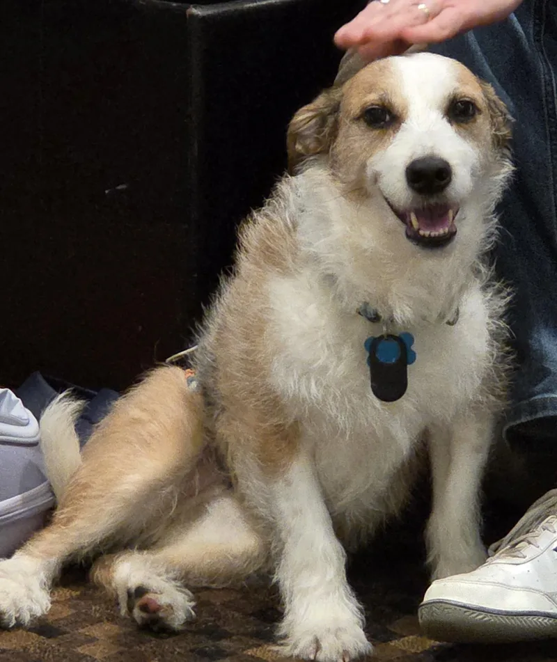 Winchester thumbnail 2