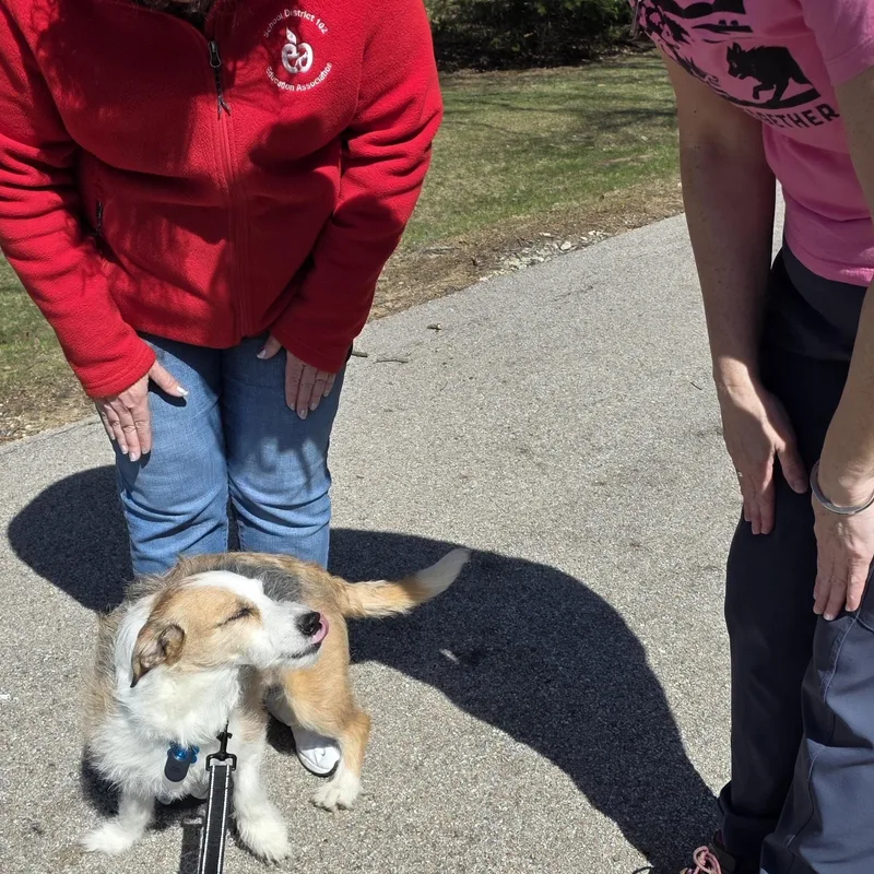 Winchester thumbnail 3