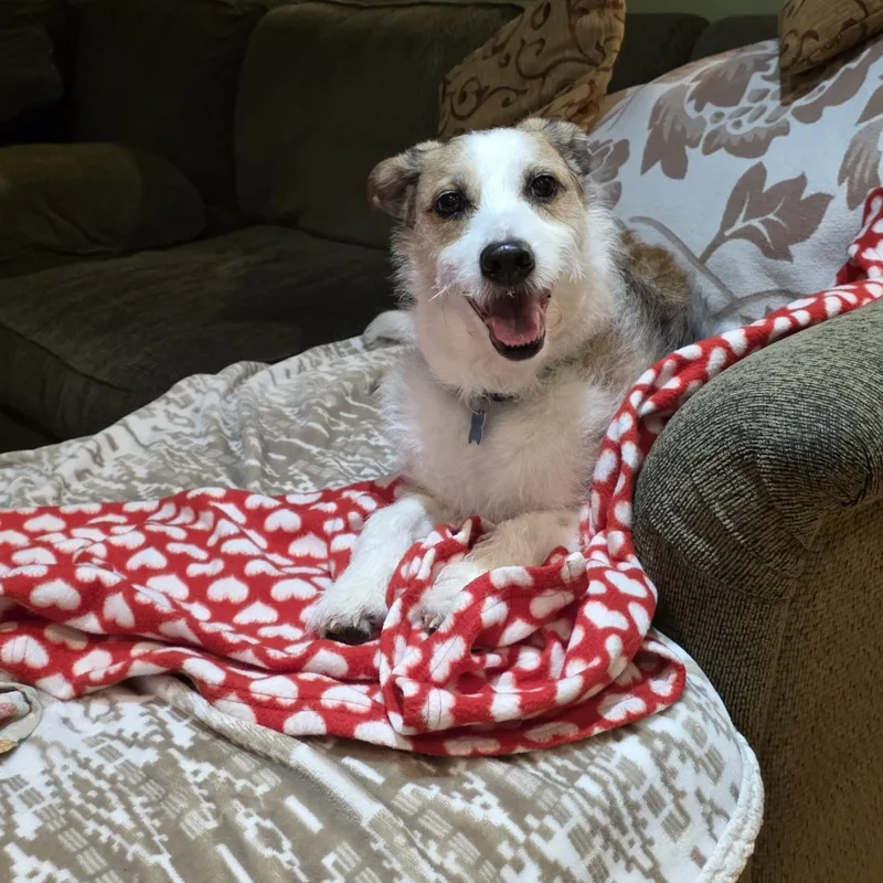 Winchester thumbnail 4