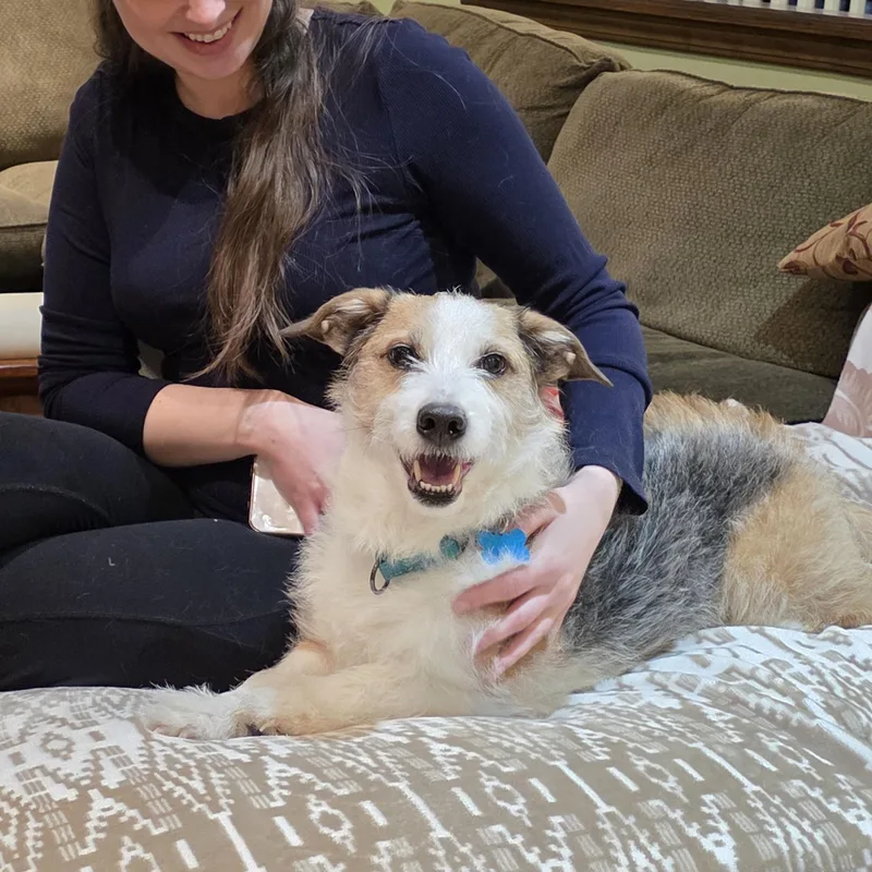 Winchester thumbnail 5