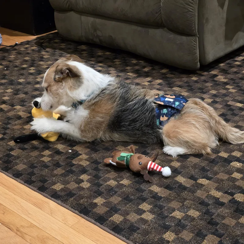 Winchester thumbnail 6