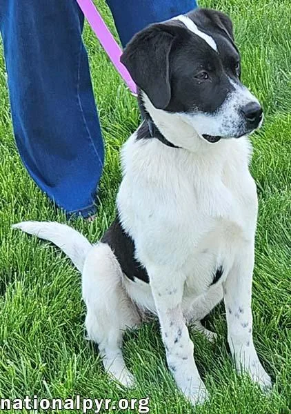 Luke In Oh  thumbnail 2