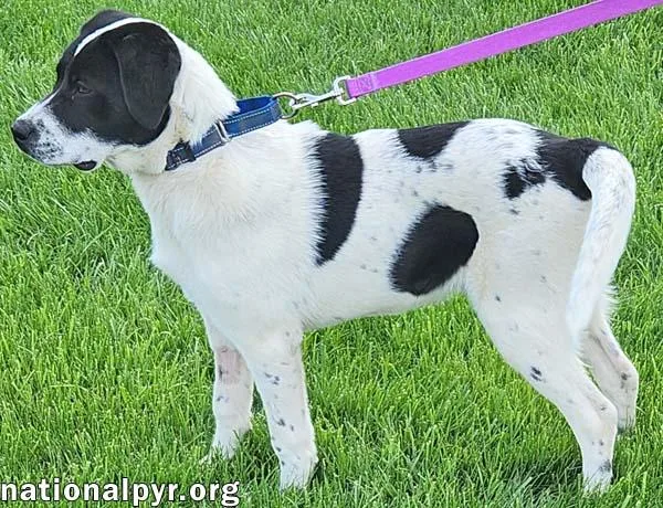 Luke In Oh  thumbnail 3