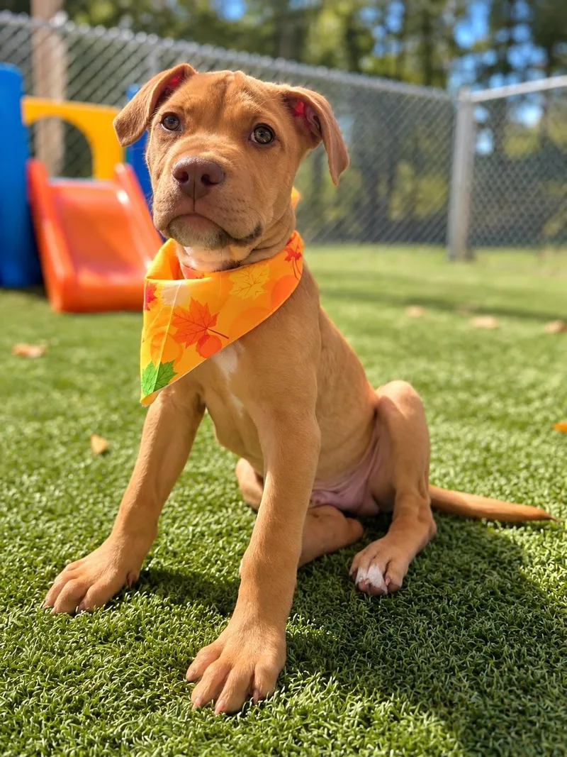 Peyton thumbnail 2
