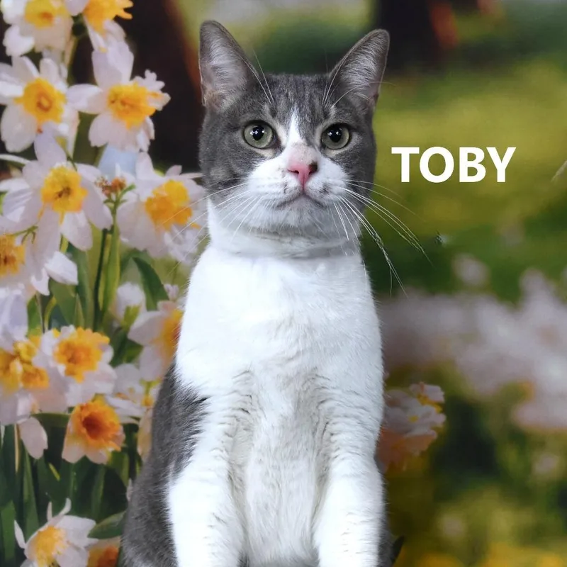 Tobias thumbnail 4