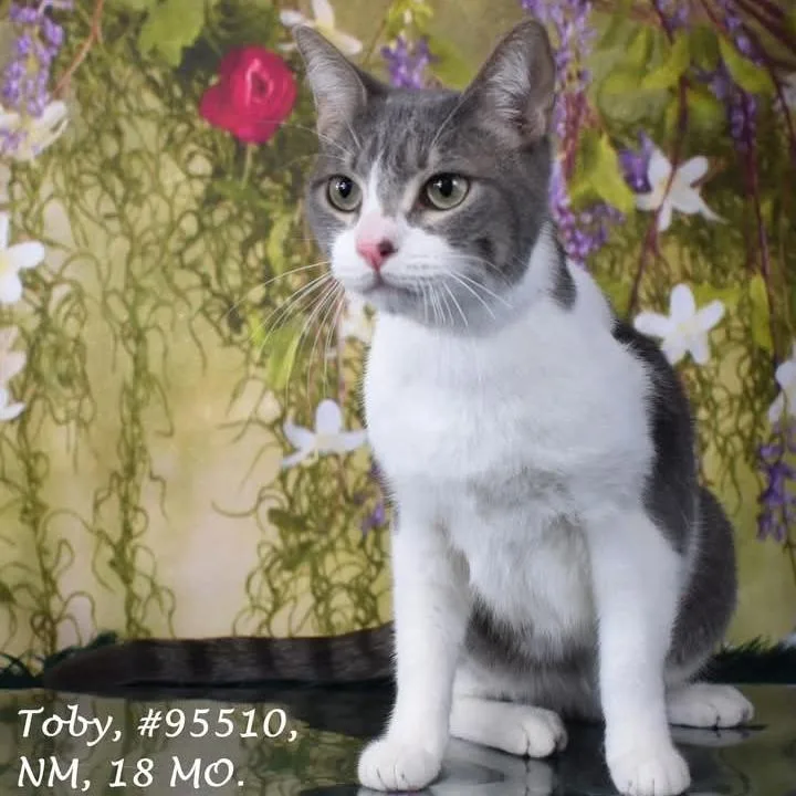 Tobias thumbnail 5