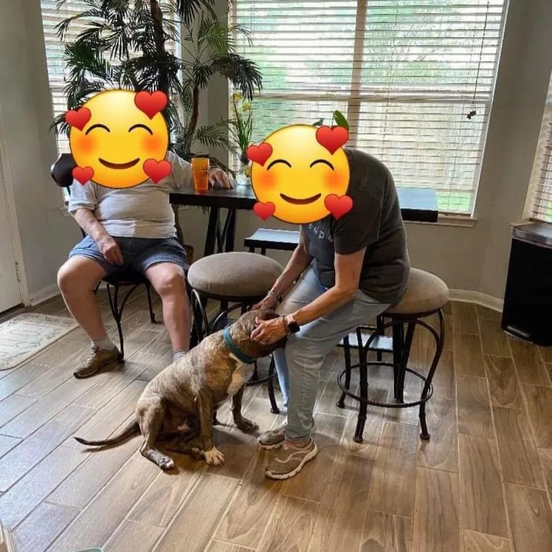 Maxamilly thumbnail 2