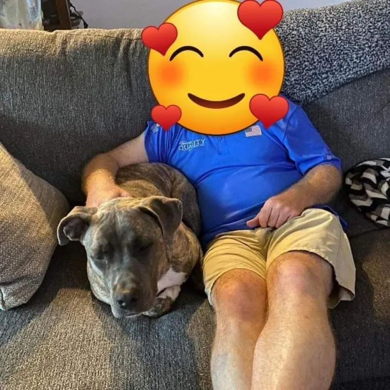 Maxamilly thumbnail 3