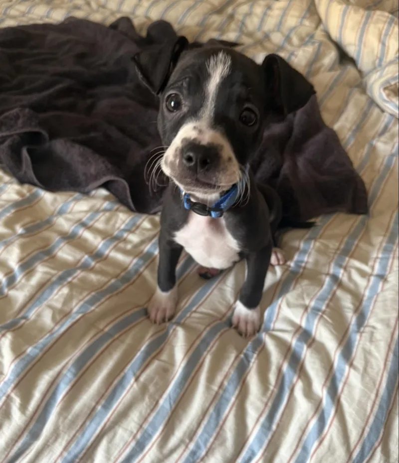 Mason
