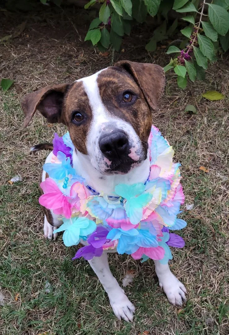 Infinity thumbnail 3