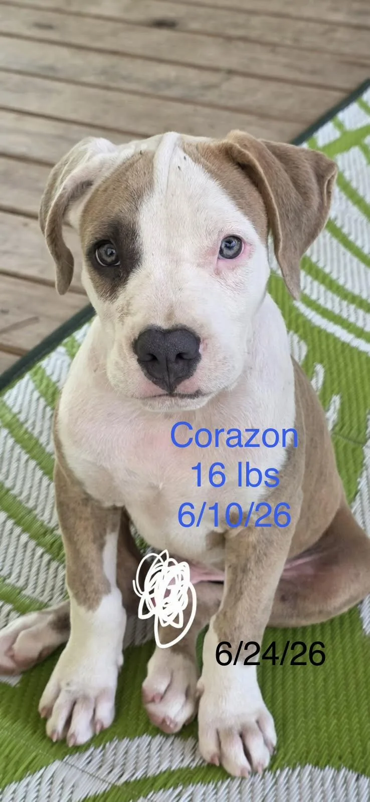 Corazon thumbnail 2