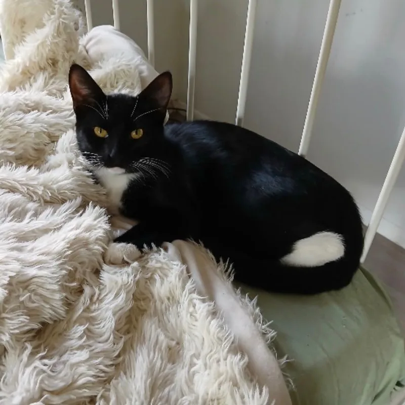 Bonnie B thumbnail 3