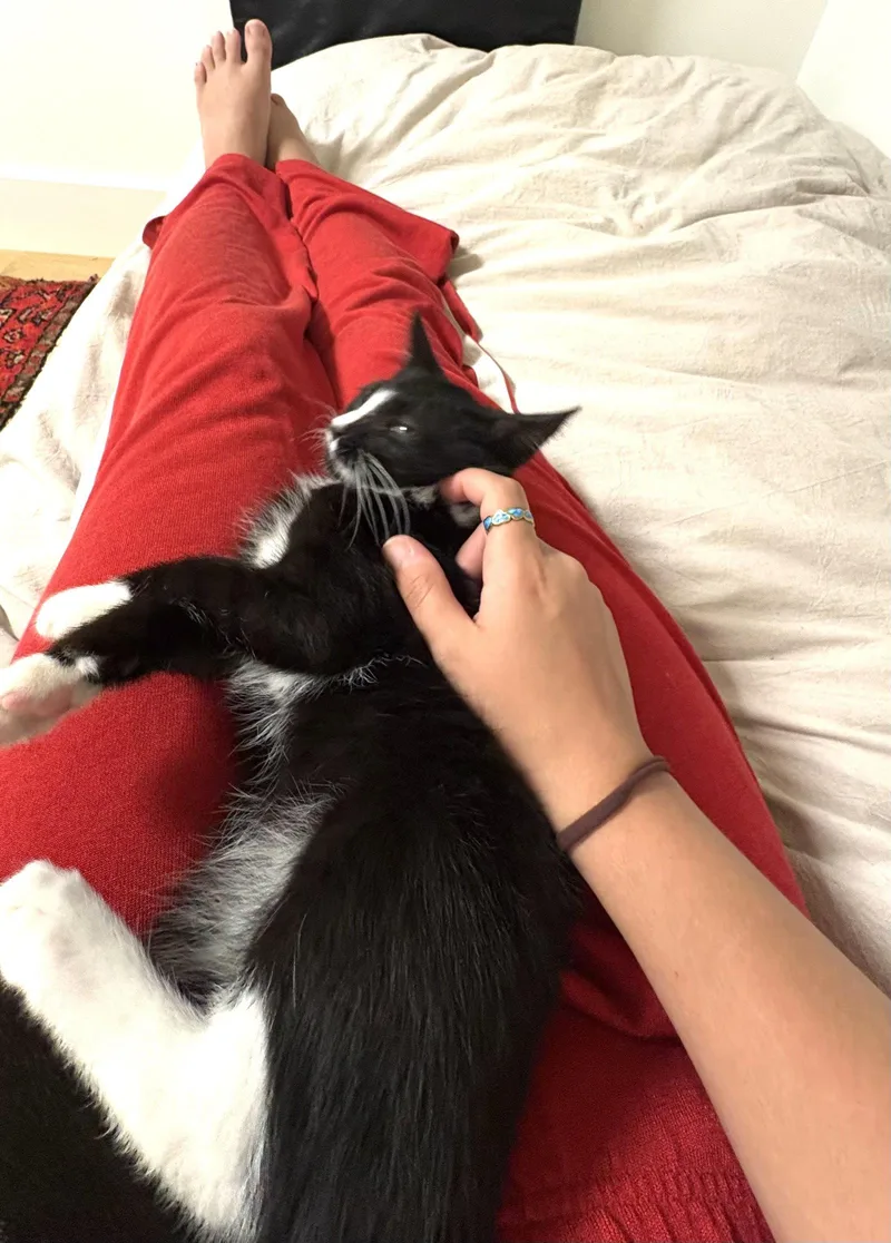 Cesar and Pepper thumbnail 3