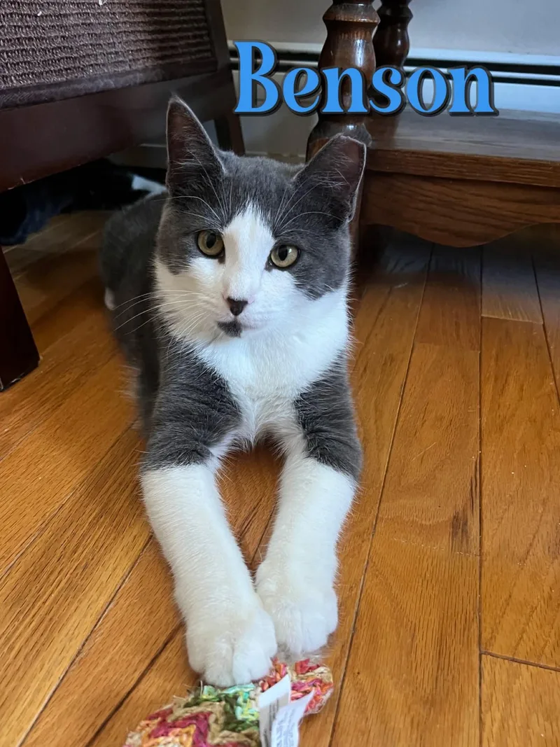 Benson thumbnail 3