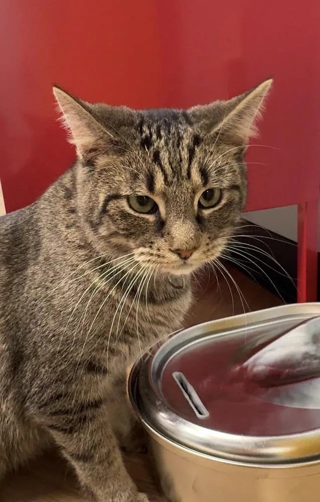 Sorrento thumbnail 3