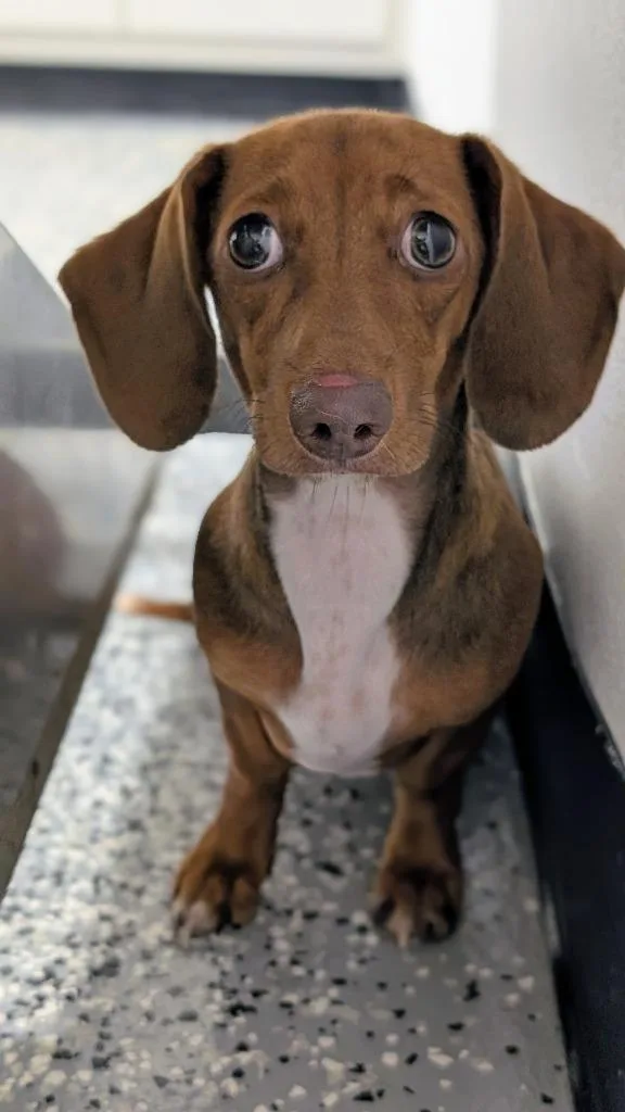 Hazel Grace May thumbnail 2