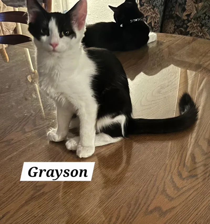 Grayson