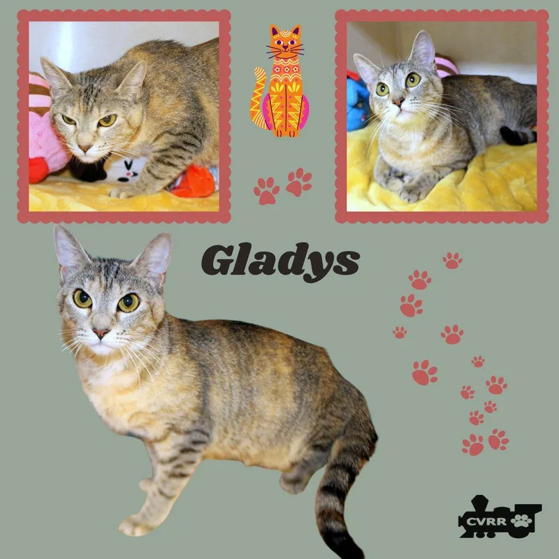 Gladys