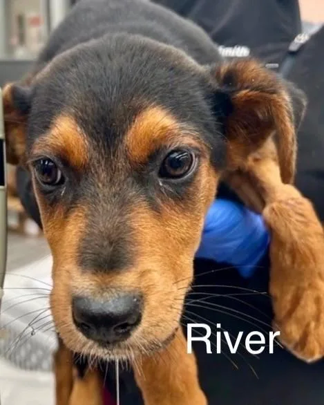 River thumbnail 2