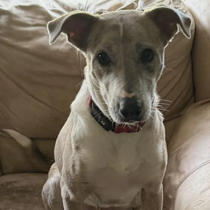 Delilah thumbnail 2