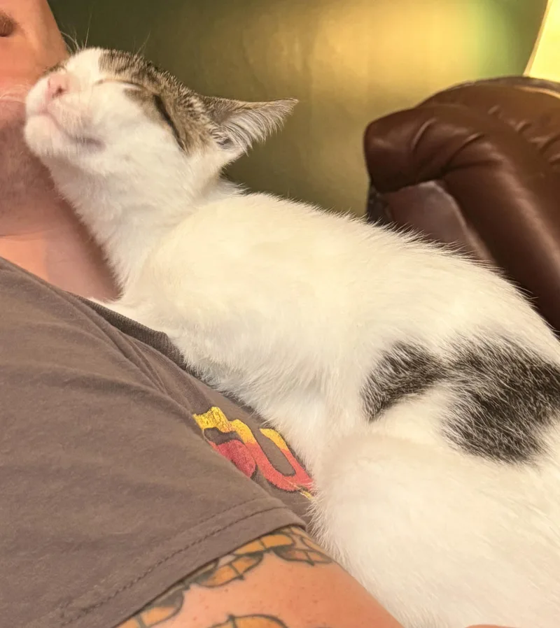 Cookie thumbnail 3
