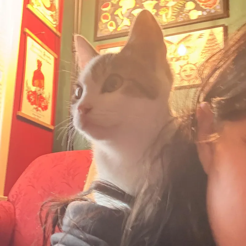 Cookie thumbnail 6