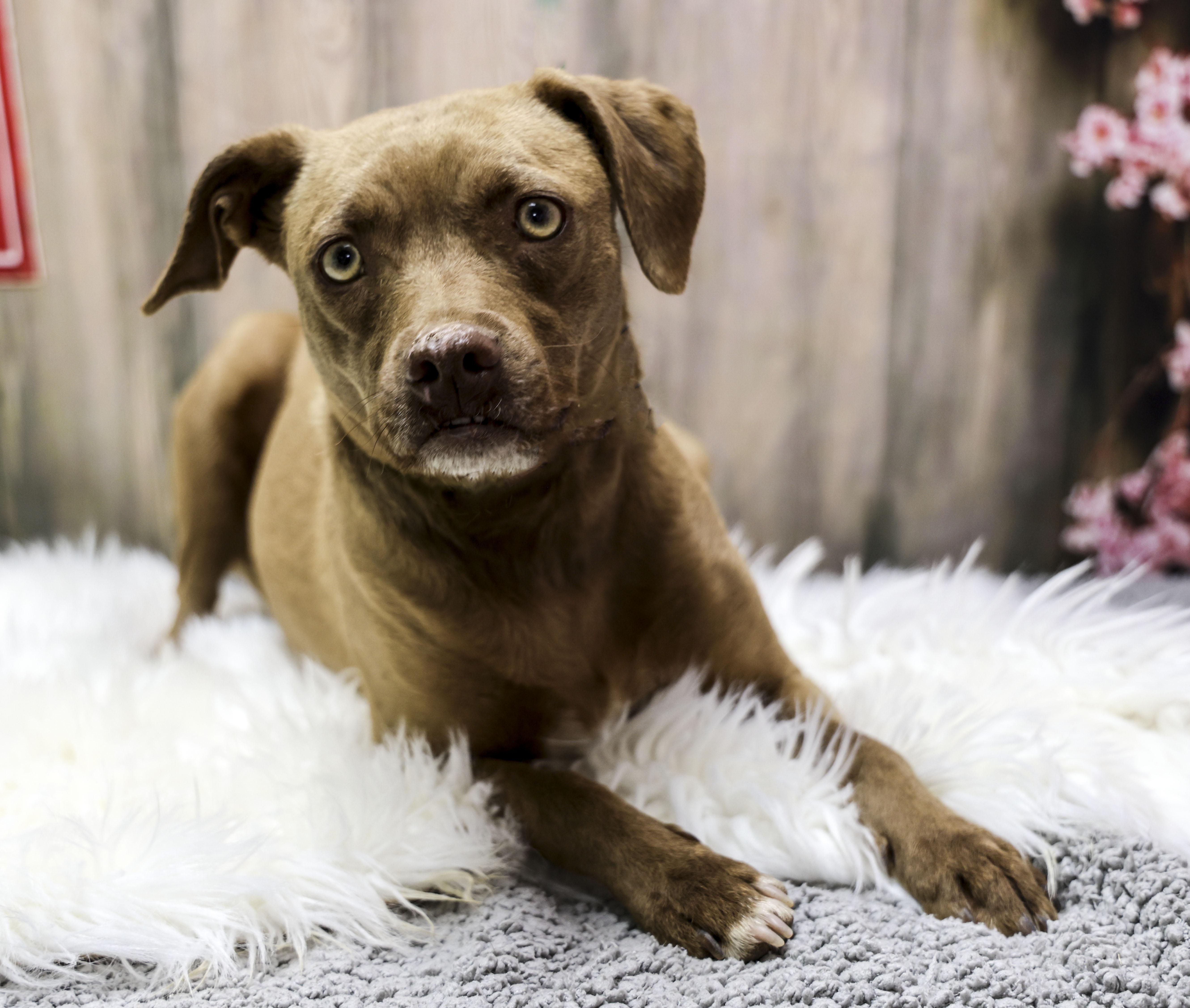 Mama Helen thumbnail 2