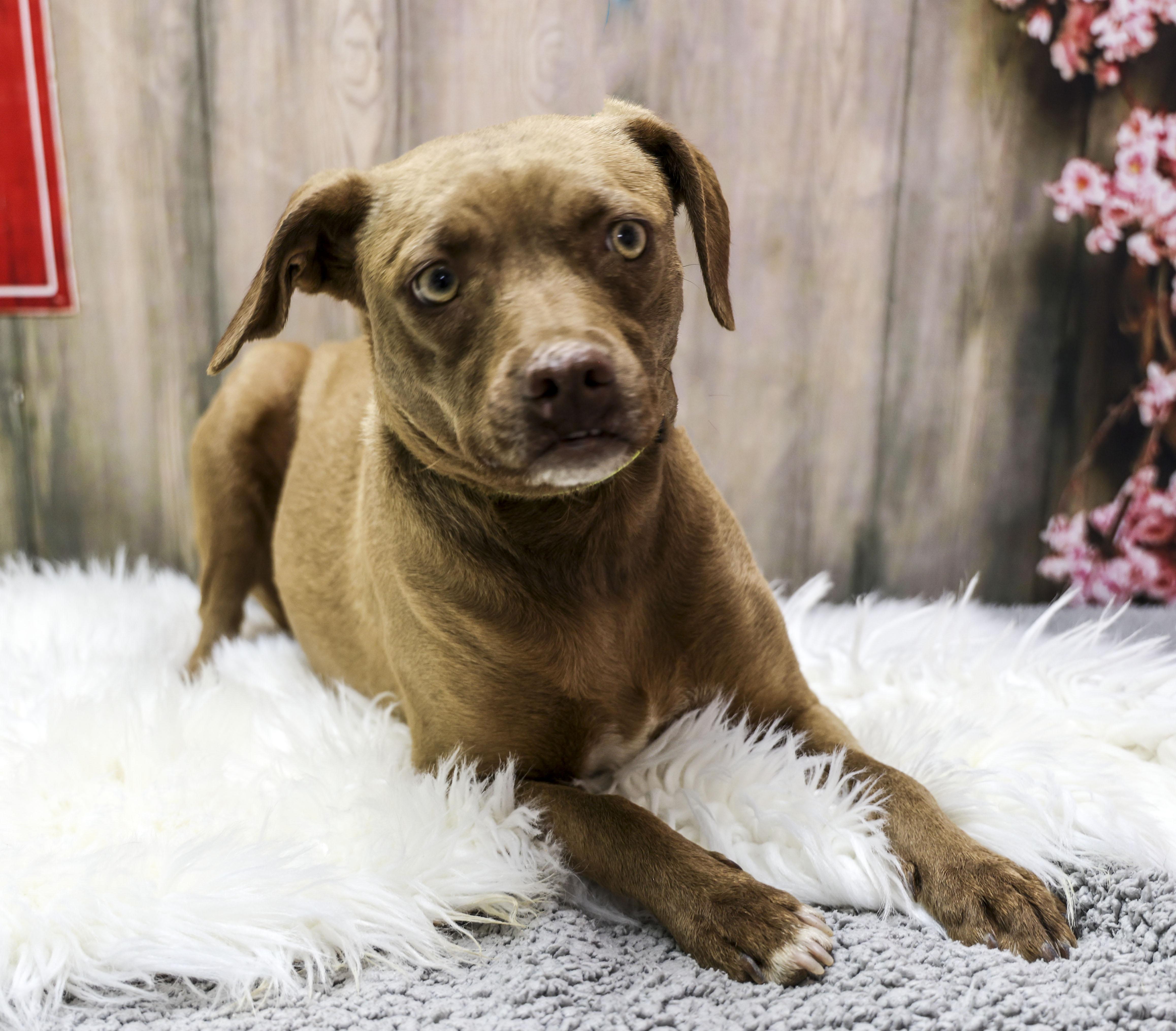 Mama Helen thumbnail 3