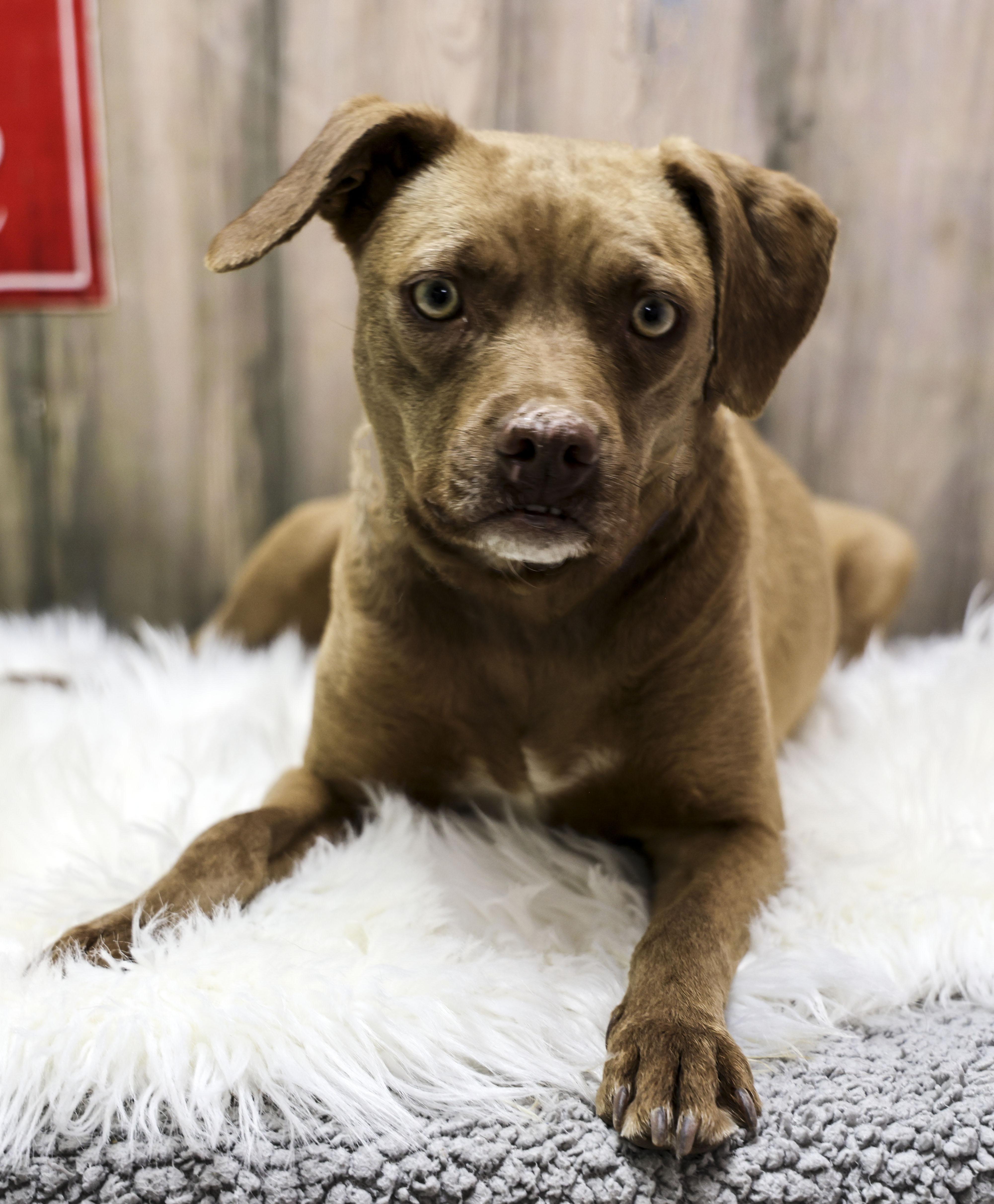 Mama Helen thumbnail 4